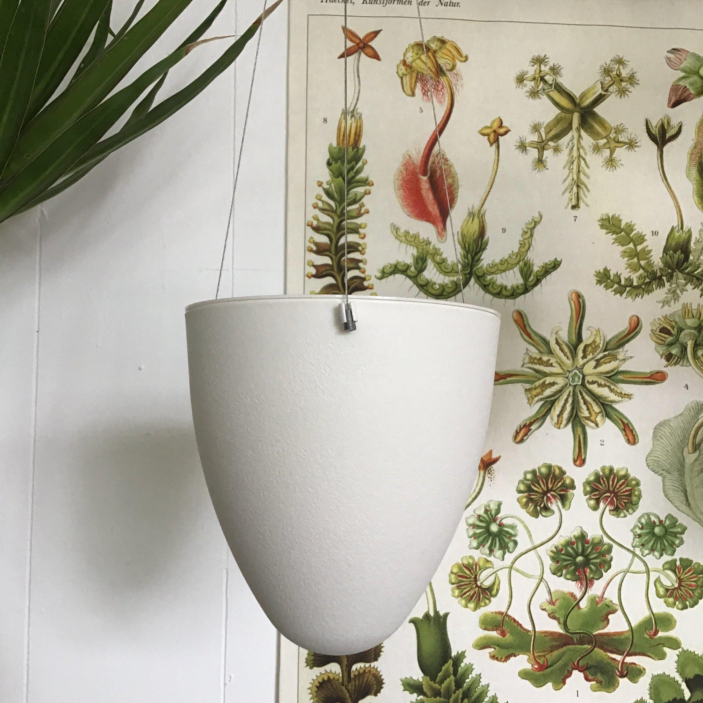 Milk White Egg hanging planter